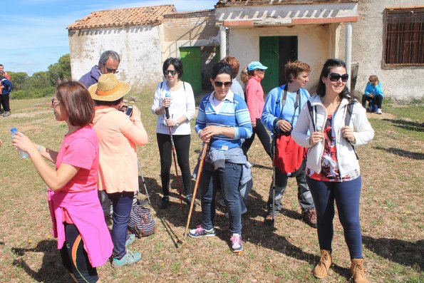 Paseando por Miguelturra-2015-04-19-fuente Concejalia de Deportes de Miguelturra-227