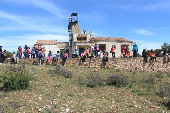 Paseando por Miguelturra-2015-04-19-fuente Concejalia de Deportes de Miguelturra-237