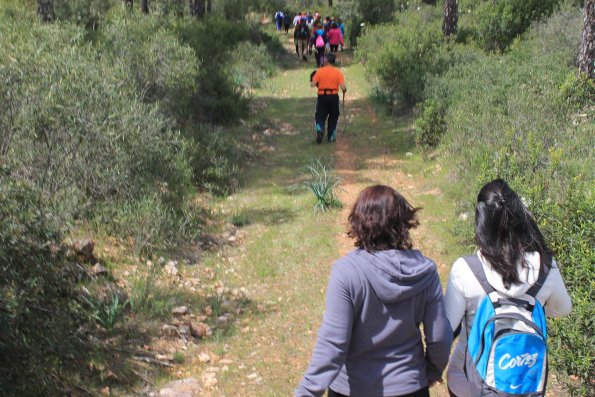 Paseando por Miguelturra-2015-04-19-fuente Concejalia de Deportes de Miguelturra-298