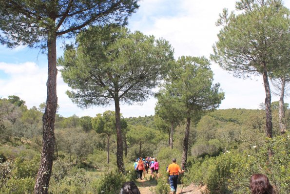 Paseando por Miguelturra-2015-04-19-fuente Concejalia de Deportes de Miguelturra-300