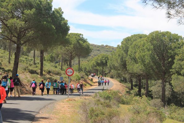 Paseando por Miguelturra-2015-04-19-fuente Concejalia de Deportes de Miguelturra-302