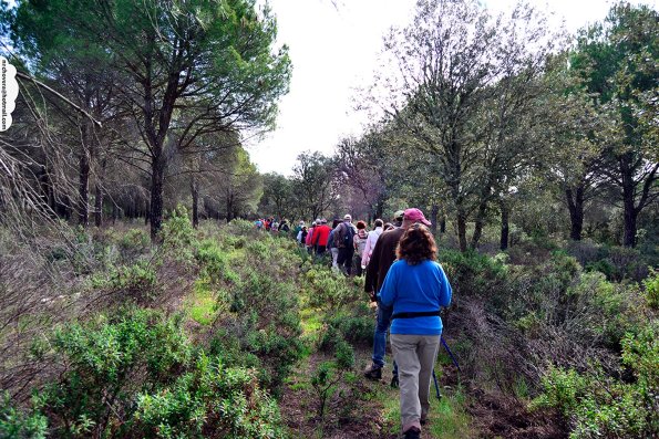 Paseando por Miguelturra-2015-04-19-fuente Nacho Vera-004