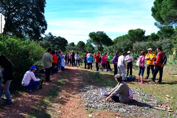 Paseando por Miguelturra-2015-04-19-fuente Nacho Vera-007