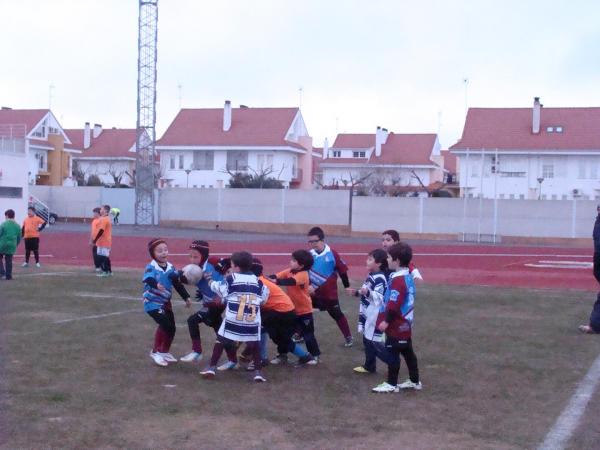 Torneo de Rugby Infantil de Castilla La Mancha - Miguelturra - Febrero 2015 - 08