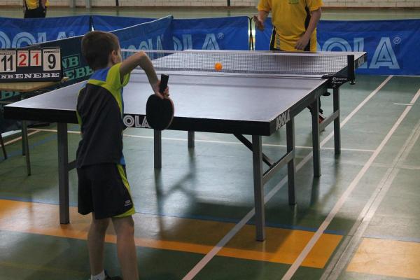 Campeonato Provincia Tenis de Mesa - Miguelturra - marzo 2015 - fuente Concejalia de Deportes Ayuntamiento - 14