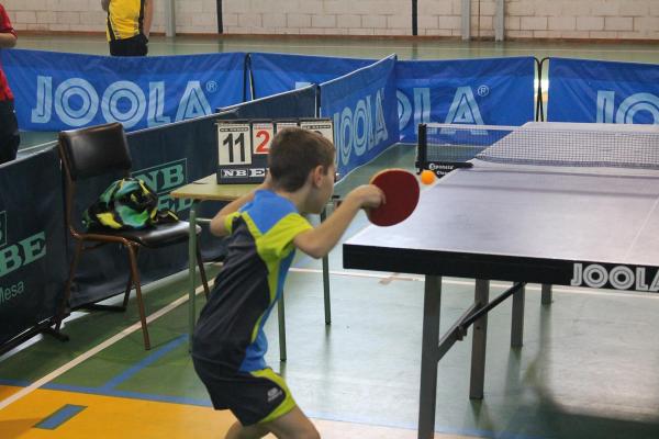 Campeonato Provincia Tenis de Mesa - Miguelturra - marzo 2015 - fuente Concejalia de Deportes Ayuntamiento - 18