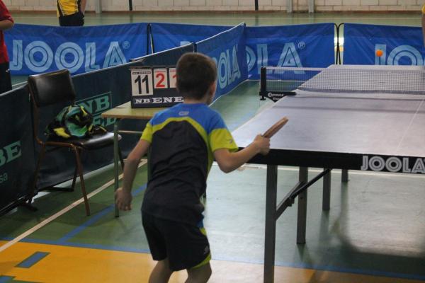 Campeonato Provincia Tenis de Mesa - Miguelturra - marzo 2015 - fuente Concejalia de Deportes Ayuntamiento - 19