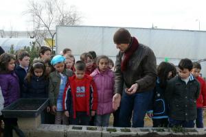 visita CP Clara Campoamor al vivero