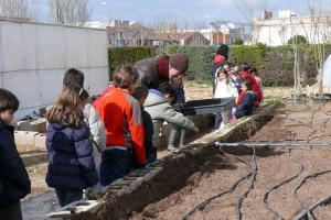 visita CP Clara Campoamor al vivero