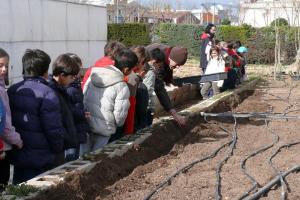 visita CP Clara Campoamor al vivero