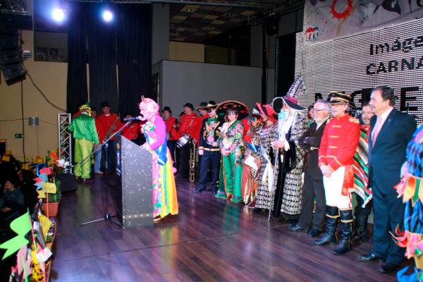 Pregon y coronacion nuevo Rey Carnaval-2014-02-28-fuente Area de Comunicacion Municipal-185