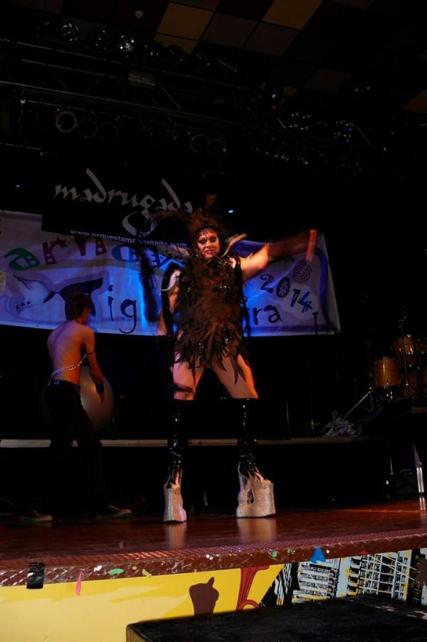 Concurso de Drag Queen Carnaval de Miguelturra-2014-03-07-fuente Area de Comunicacion Municipal-099