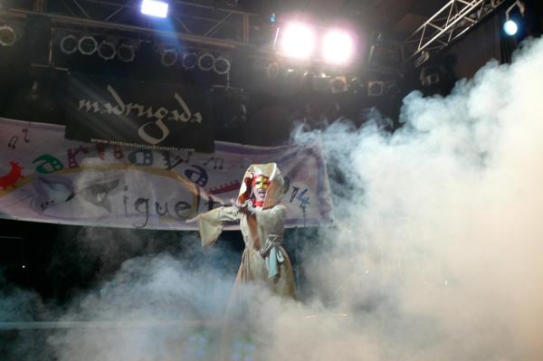 Concurso de Drag Queen Carnaval de Miguelturra-2014-03-08-fuente Area de Comunicacion Municipal-141