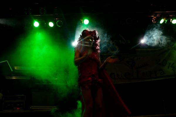 Concurso de Drag Queen Carnaval de Miguelturra-2014-03-08-fuente Area de Comunicacion Municipal-147