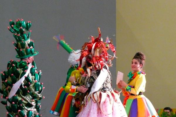 Premios Domingo de Piñata Miguelturra-2014-03-09-fuente Area de Comunicacion Municipal-36