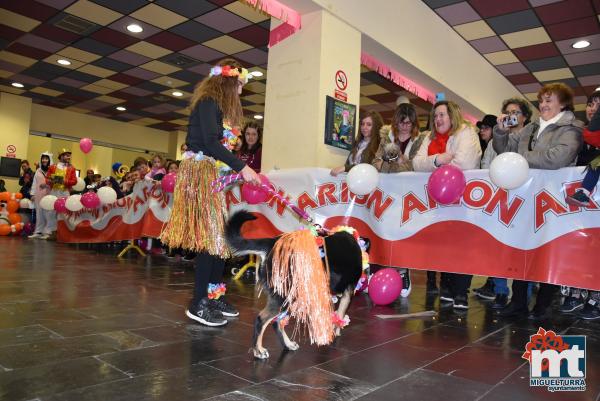 Concurso de Mascotas Dejando Huella-Carnaval Miguelturra 2019-Fuente imagen Area Comunicacion Ayuntamiento Miguelturra-037