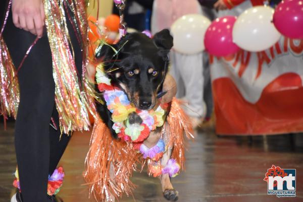 Concurso de Mascotas Dejando Huella-Carnaval Miguelturra 2019-Fuente imagen Area Comunicacion Ayuntamiento Miguelturra-044