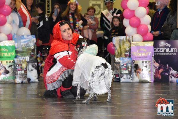 Concurso de Mascotas Dejando Huella-Carnaval Miguelturra 2019-Fuente imagen Area Comunicacion Ayuntamiento Miguelturra-058