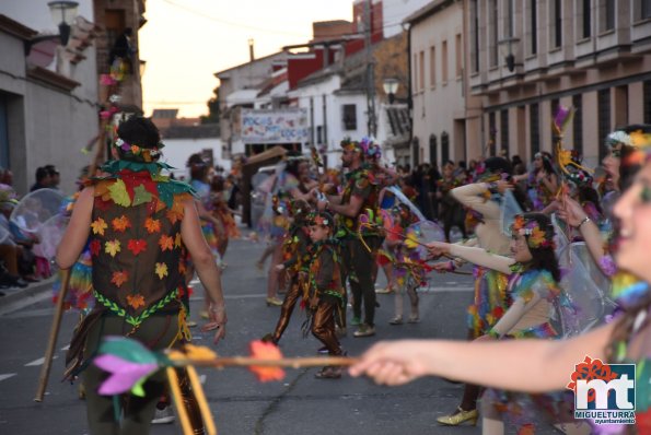 Desfile Domingo de Piñata Carnaval Miguelturra 2019-lote1-Fuente imagen Area Comunicacion Ayuntamiento Miguelturra-764