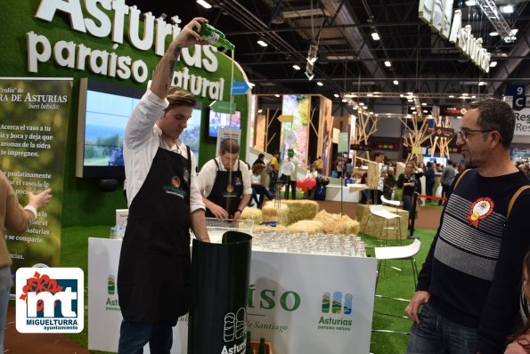 Presentacion Carnaval en Fitur-2020-01-25-Fuente imagen Área de Comunicación Ayuntamiento Miguelturra-193