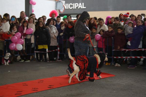 Concurso de mascotas Carnaval 2015 - Dejando Huella-fuente Area Comunicacion Municipal-03