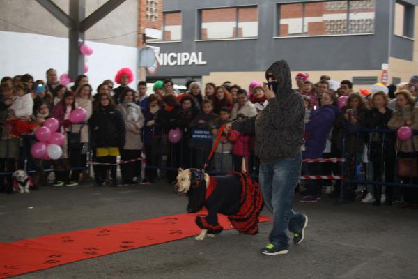 Concurso de mascotas Carnaval 2015 - Dejando Huella-fuente Area Comunicacion Municipal-04