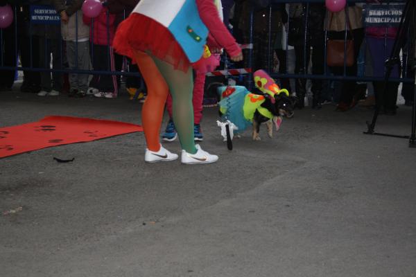 Concurso de mascotas Carnaval 2015 - Dejando Huella-fuente Area Comunicacion Municipal-08