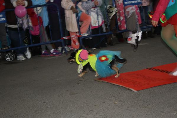 Concurso de mascotas Carnaval 2015 - Dejando Huella-fuente Area Comunicacion Municipal-09