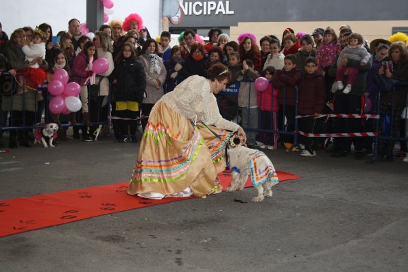 Concurso de mascotas Carnaval 2015 - Dejando Huella-fuente Area Comunicacion Municipal-11