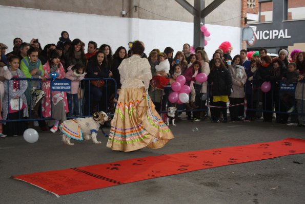 Concurso de mascotas Carnaval 2015 - Dejando Huella-fuente Area Comunicacion Municipal-14