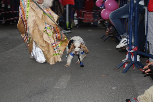 Concurso de mascotas Carnaval 2015 - Dejando Huella-fuente Area Comunicacion Municipal-15