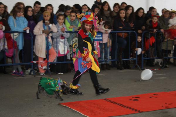 Concurso de mascotas Carnaval 2015 - Dejando Huella-fuente Area Comunicacion Municipal-20