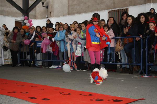 Concurso de mascotas Carnaval 2015 - Dejando Huella-fuente Area Comunicacion Municipal-29