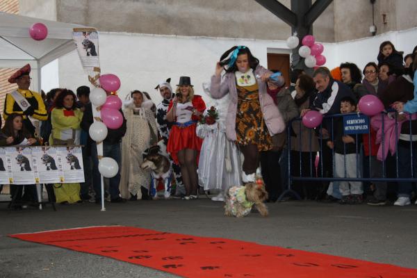 Concurso de mascotas Carnaval 2015 - Dejando Huella-fuente Area Comunicacion Municipal-30