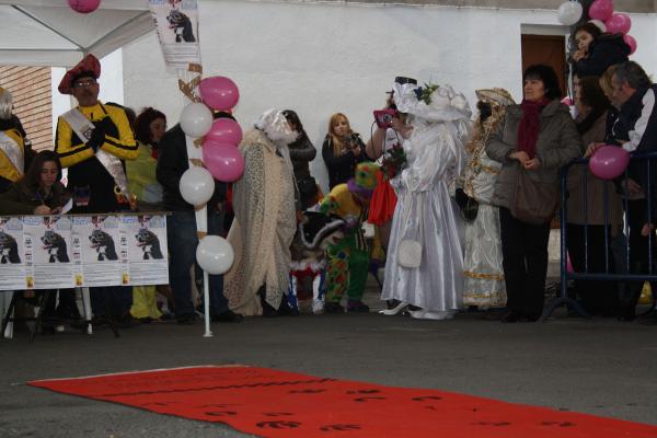 Concurso de mascotas Carnaval 2015 - Dejando Huella-fuente Area Comunicacion Municipal-32