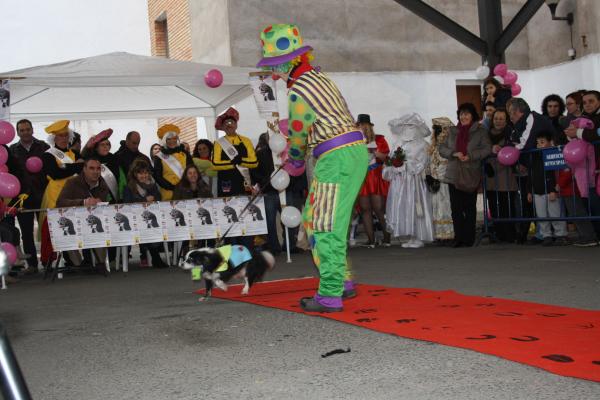 Concurso de mascotas Carnaval 2015 - Dejando Huella-fuente Area Comunicacion Municipal-33