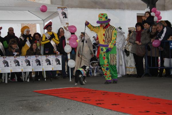 Concurso de mascotas Carnaval 2015 - Dejando Huella-fuente Area Comunicacion Municipal-34