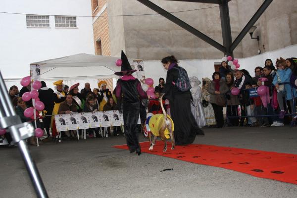Concurso de mascotas Carnaval 2015 - Dejando Huella-fuente Area Comunicacion Municipal-37
