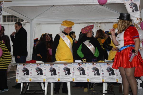 Concurso de mascotas Carnaval 2015 - Dejando Huella-fuente Area Comunicacion Municipal-65