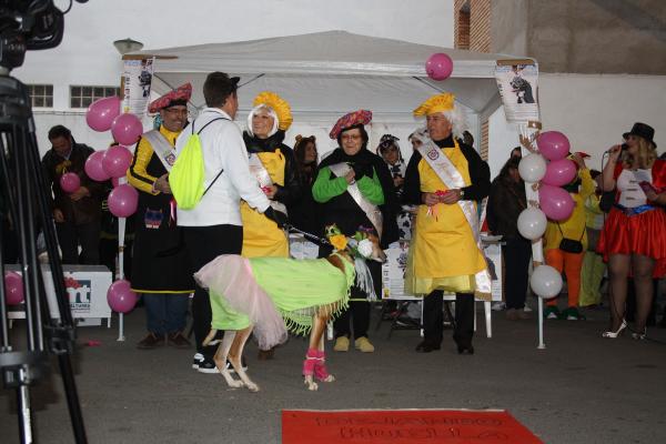 Concurso de mascotas Carnaval 2015 - Dejando Huella-fuente Area Comunicacion Municipal-72