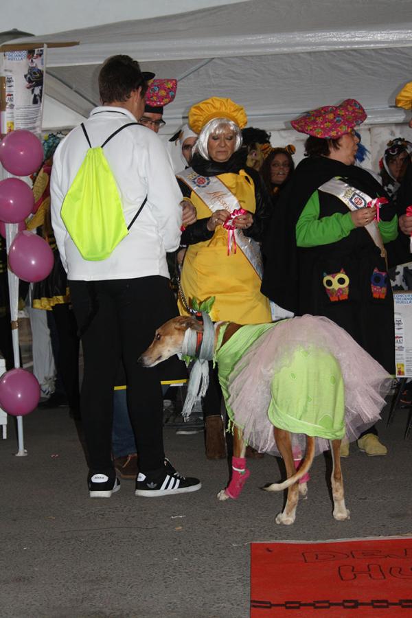 Concurso de mascotas Carnaval 2015 - Dejando Huella-fuente Area Comunicacion Municipal-73