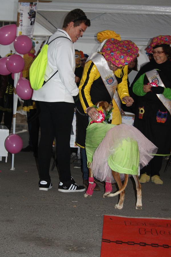 Concurso de mascotas Carnaval 2015 - Dejando Huella-fuente Area Comunicacion Municipal-74