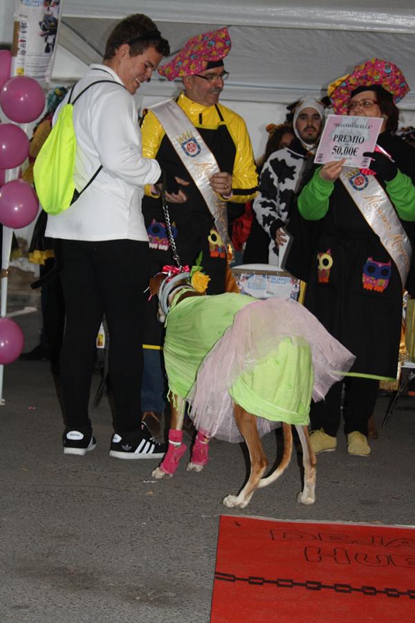 Concurso de mascotas Carnaval 2015 - Dejando Huella-fuente Area Comunicacion Municipal-75