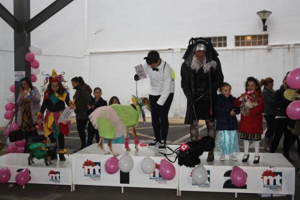 Concurso de mascotas Carnaval 2015 - Dejando Huella-fuente Area Comunicacion Municipal-83