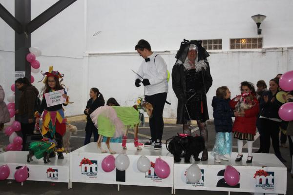 Concurso de mascotas Carnaval 2015 - Dejando Huella-fuente Area Comunicacion Municipal-84