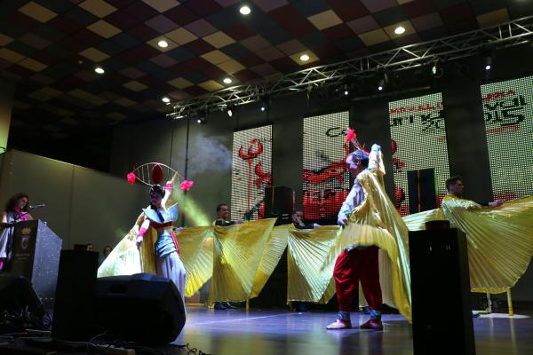 Concurso de Trajes Museo Carnaval Miguelturra 2015-fuente Area Comunicacion Municipal-093