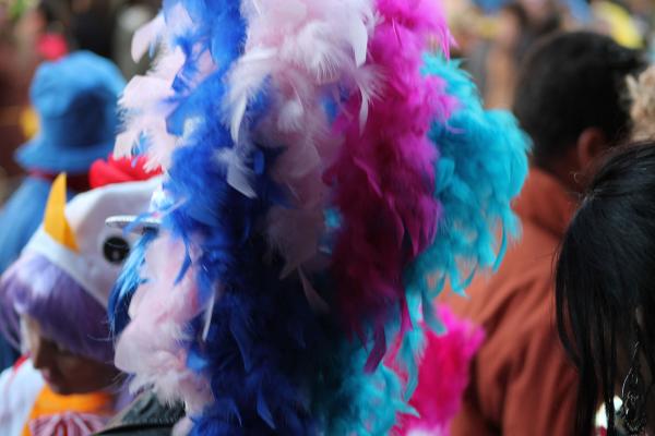 Fotos Varias del Domingo15 del Carnaval de Miguelturra-fuente Piedrasanta Martin Sicilia y Eduardo Zurita Rosales-46