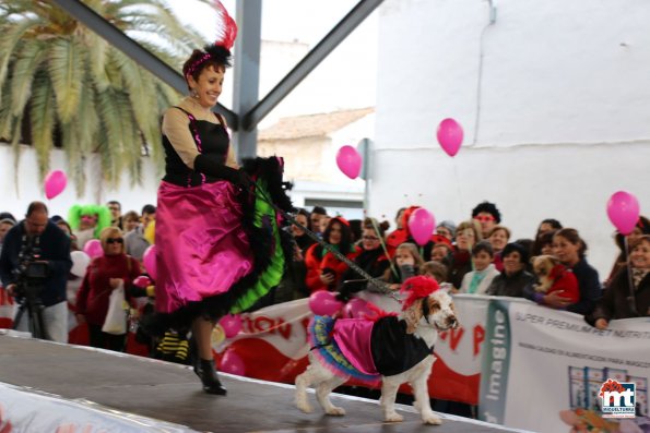 Concurso Dejando Huella-2016-02-08-fuente Area de Comunicación Municipal-050