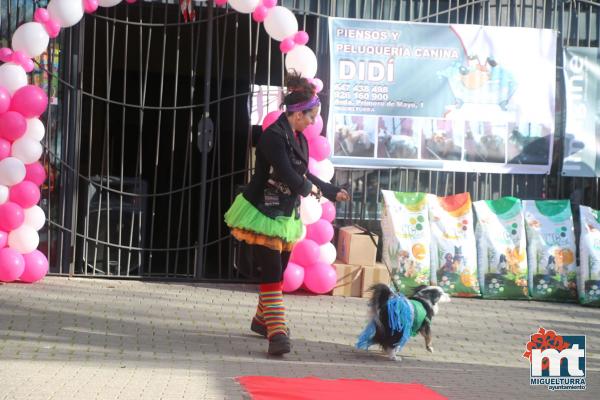 Concurso de mascotas Dejando Huella - Carnaval 2017-Fuente imagen Area Comunicacion Ayuntamiento Miguelturra-003