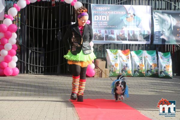 Concurso de mascotas Dejando Huella - Carnaval 2017-Fuente imagen Area Comunicacion Ayuntamiento Miguelturra-004